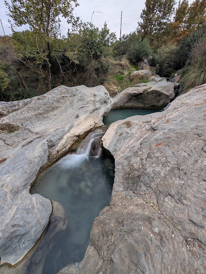 Kral Midas ve Altın Dokunuş